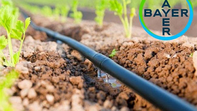 Η Bayer προωθεί περαιτέρω τη βιώσιμη γεωργία