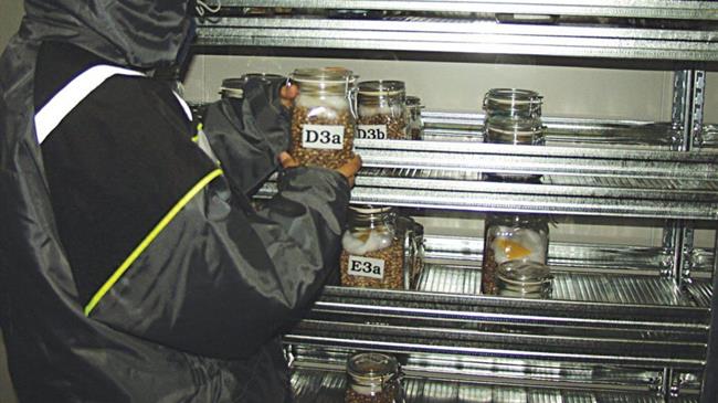 Μεσογειακή βιοκλιματική τράπεζα σπόρων