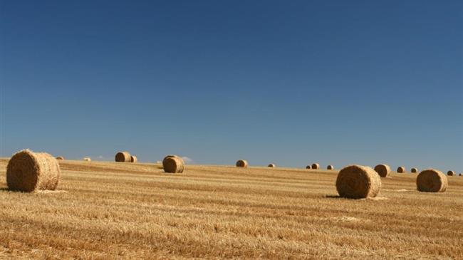 The Commission's inconvenient truth