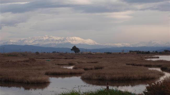 H σημασία των υγροτόπων για τη διατήρηση της βιοποικιλότητας