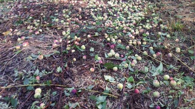 Αγρότες κατά του ΕΛΓΑ