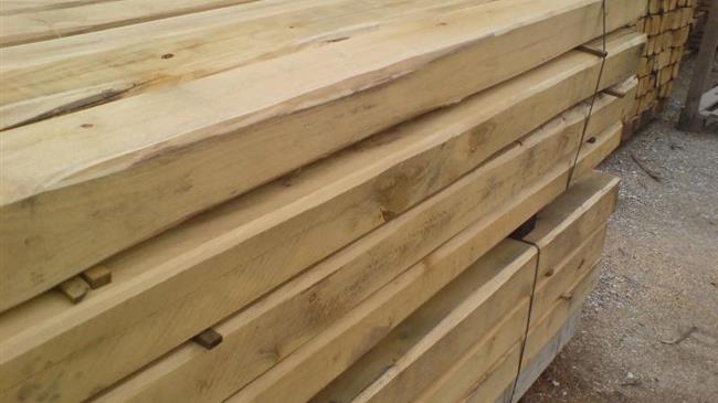 Σ. Φάμελλος: «Υποστηρίζουμε την ισχυροποίηση της Κρατικής Βιομηχανίας Ξύλου στην Καλαμπάκα»