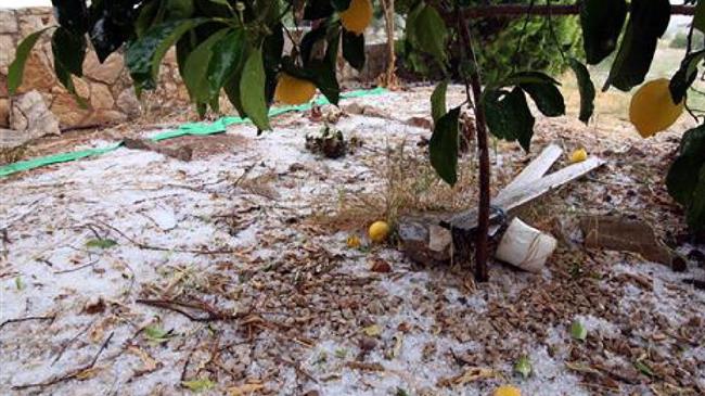 Επανεκτίμηση των ζημιών στις καλλιέργειες εσπεριδοειδών Άρτας ζητά ο Περιφερειάρχης