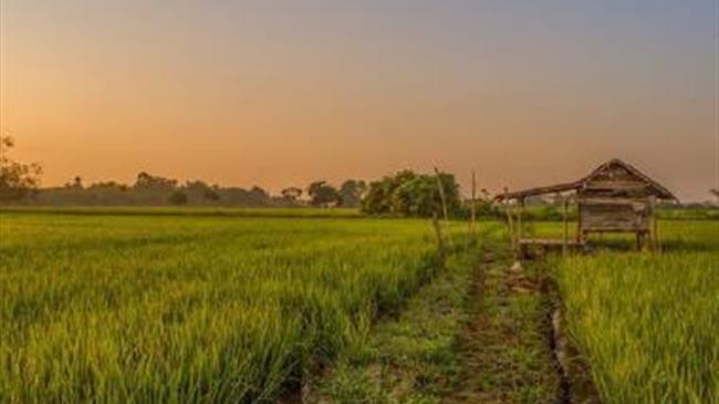 Μουλκιώτης: «Συστηματική ανικανότητα της κυβέρνησης να εφαρμόσει μια αξιόπιστη και λειτουργική πολιτική καταβολής αγροτικών ενισχύσεων»