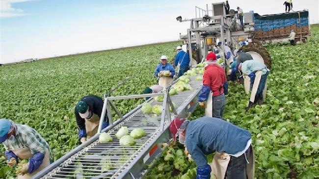 Ρύθμιση διαμονής πολιτών τρίτων χωρών στην ελληνική επικράτεια