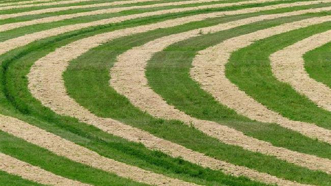 Σταρακά: Στο δρόμο για το άγνωστο με βάρκα την ελπίδα οι πληρωμές των αγροτών
