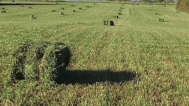 ΟΠΕΚΕΠΕ: Οδηγός υποχρεώσεων γεωργών στο πλαίσιο της Πολλαπλής Συμμόρφωσης