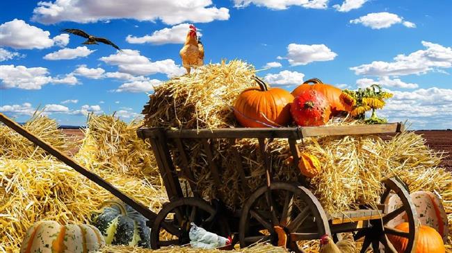 Αγροτικοί Σύλλογοι Κρήτης: Υπέρογκη αύξησης της τιμής στην ηλεκτρική ενέργεια