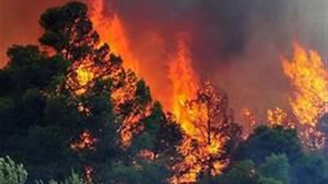 Ο ΕΛΓΑ καλεί για αιτήσεις πυρόπληκτους παραγωγούς