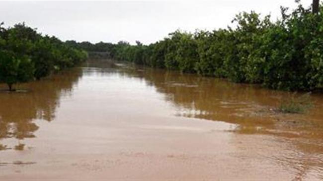 Μεγάλη ζημιά εξαιτίας των ισχυρών βροχοπτώσεων