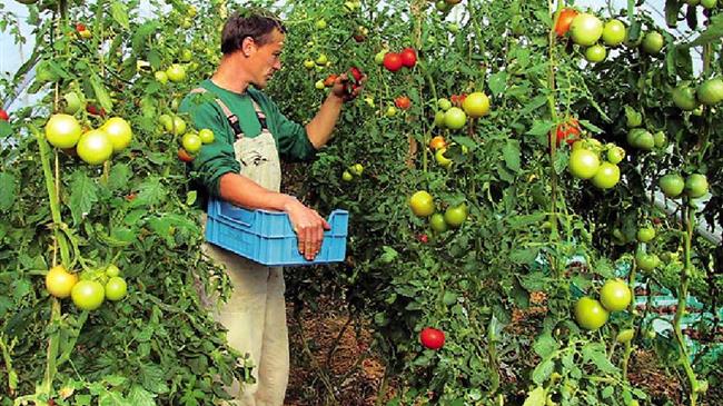 Εγκύκλιος οδηγιών για την διαδικασία πληρωμής του Μέτρου 9 «σύσταση ομάδων και οργανώσεων παραγώγων»