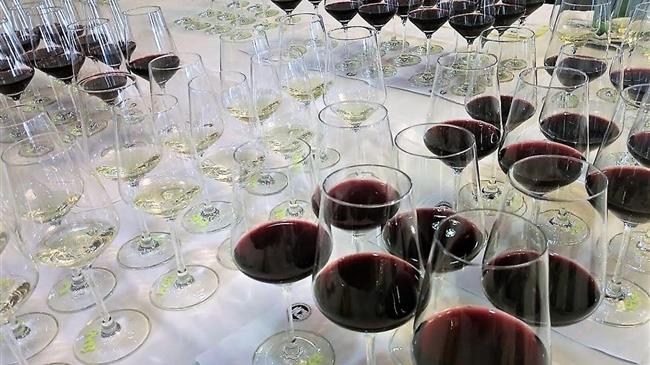 «Διεθνής Διαγωνισμός Οίνου & Αποσταγμάτων Αμπελοοινικής Προέλευσης Θεσσαλονίκης»