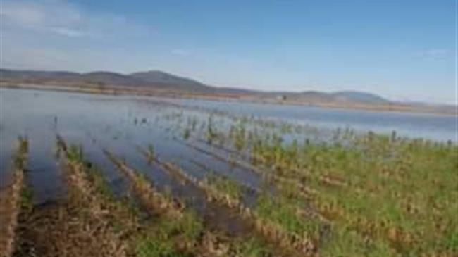 Ν. Καρδίτσας: Καταστροφές σε βαμβακοκαλλιέργειες