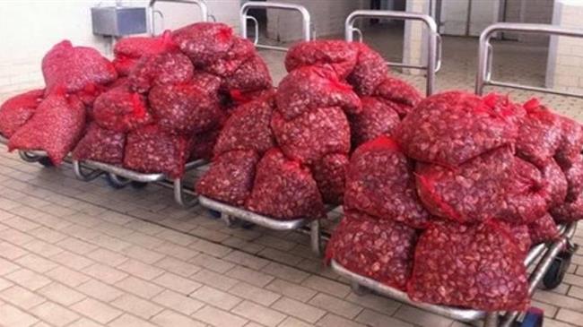  Kατασχέθηκαν 1.617 κιλά όστρακα