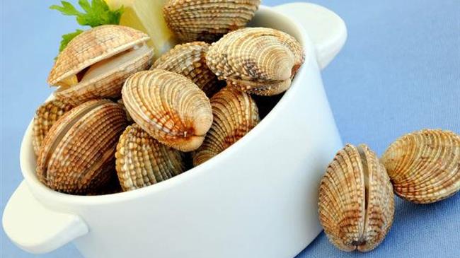 Kατασχέθηκαν ακατάλληλα όστρακα