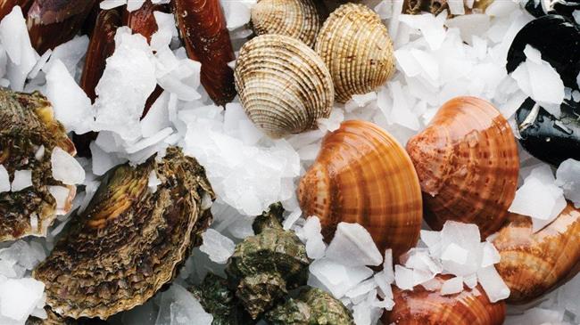 ΟΠΕΚΕΠΕ: De minimis 672 ευρώ/στρέμμα στις οστρακοκαλλιέργειες