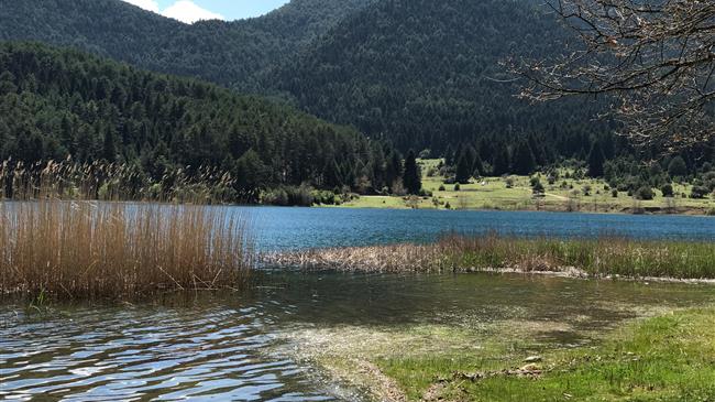 Ευρωπαϊκή Ημέρα Natura 2000