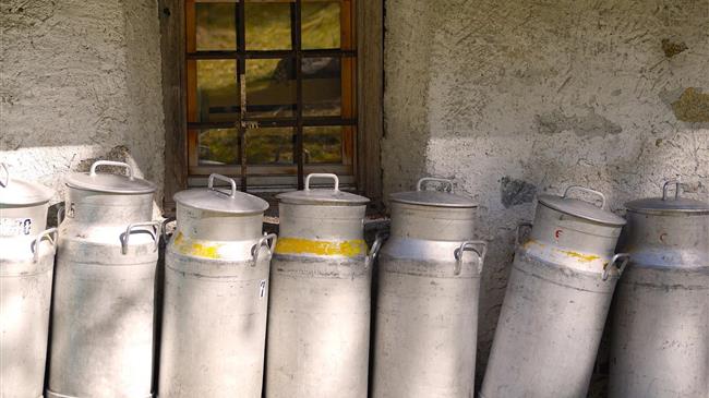 Αύξηση της παγκόσμιας παραγωγής γάλακτος το Σεπτέμβριο