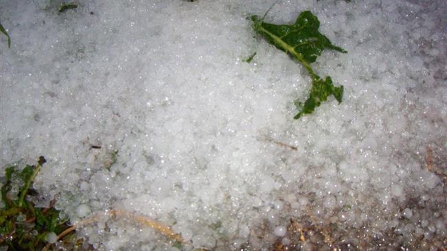 Χαλάζι κατέστρεψε καλλιέργειες στην Λάρισα