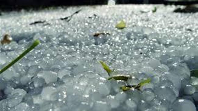 Σφοδρή χαλαζόπτωση έπληξε καλλιέργειες στο δήμο Παλαμά