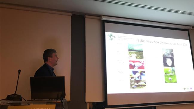  "Η Bayer και το Μπενάκειο Φυτοπαθολογικό Ινστιτούτο (Μ.Φ.Ι.) ενημερώνουν για τον ψευδόκοκκο του αμπελιού"