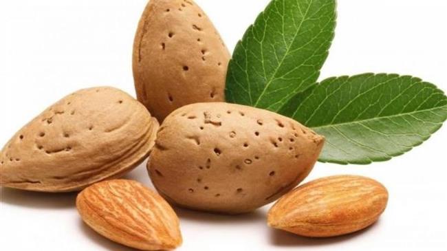 «Ανοιχτό το ενδεχόμενο αποζημίωσης των Λαρισαίων αμυγδαλοπαραγωγών», είπε ο Σταμενίτης στον Κόκκαλη