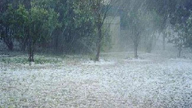 Ενστάσεις για τα πορίσματα εκτίμησης ζημιών από το χαλάζι