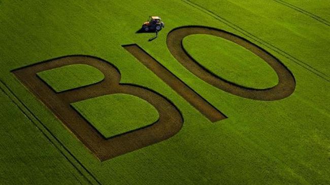 Ποιος φταίει για την υποχώρηση των βιολογικών προϊόντων της Γαλλίας