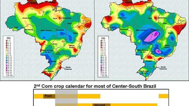 Abundant Supplies are Forecast for the Coming Crop Year in the U.S. and Around the World
