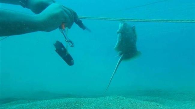  Έπαθε ΣΟΚ ο ψαράς με αυτό που έβγαλε από τη θάλασσα 