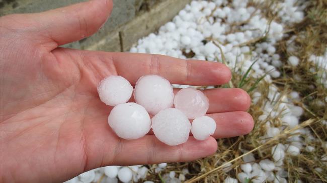 Ράχη Ημαθίας: Καταστροφικές οι ζημιές απο το χαλάζι