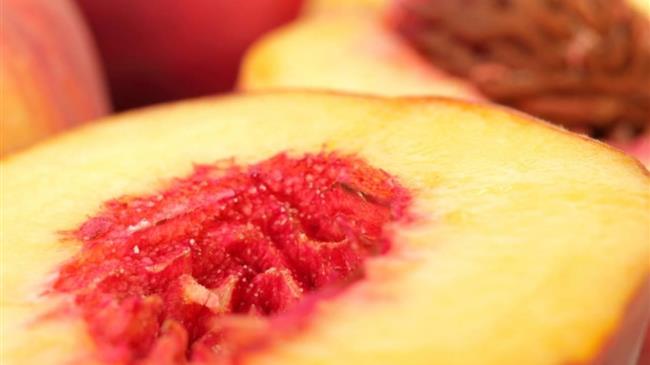 Γιαννακάκης: Απώλεια της Αμερικανικής αγοράς σημαίνει απώλεια 40.000 τόνων συμπύρηνων