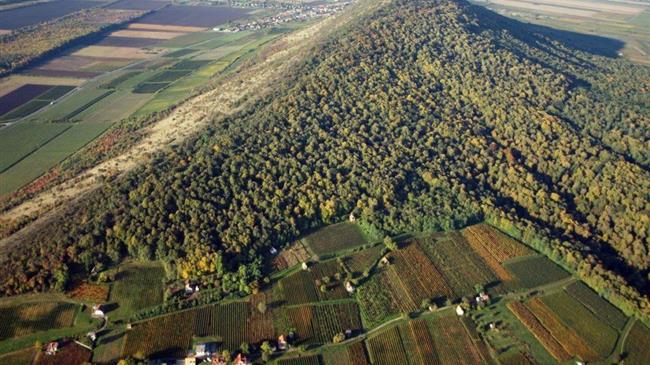 Παράταση προθεσμίας υποβολής αντιρρήσεων κατά αναρτημένων δασικών χαρτών έως τις 30.11.2019