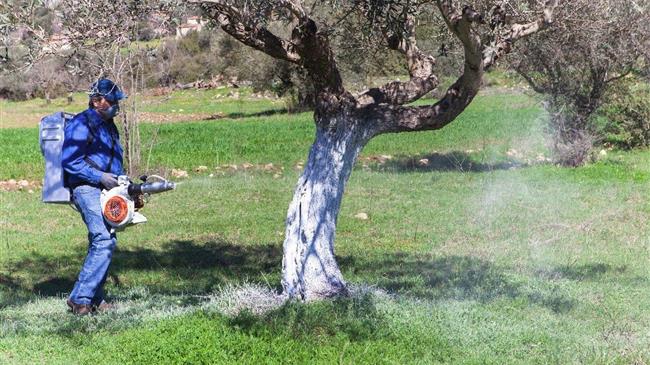 Ξεκίνησε η δακοκτονία