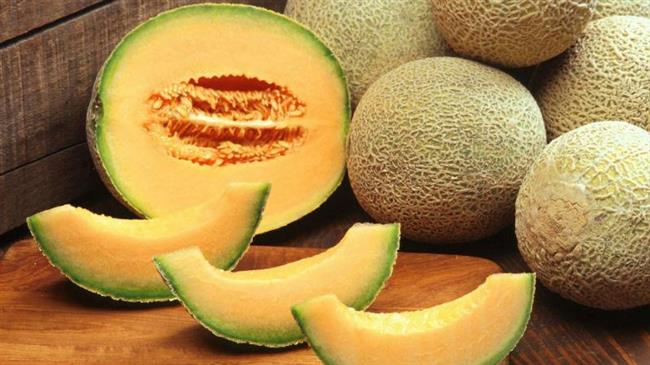 Τερτράνυχος στην καλλιέργεια υπαίθριων πεπονιών