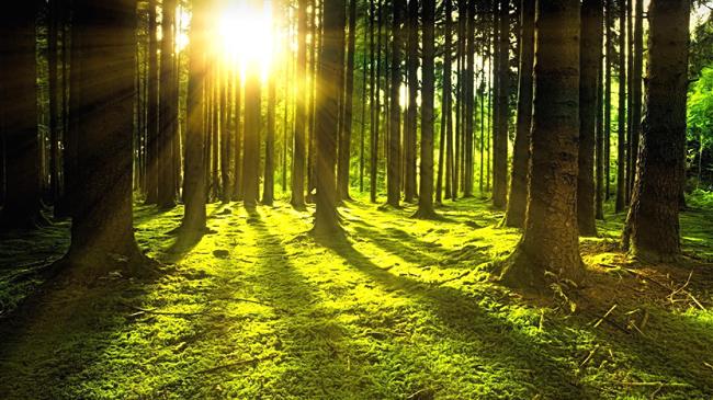 Τι συμβαίνει με την ευρωπαϊκή βιοοικονομία