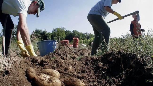 Στηρίζουμε τους αγρότες της Βόρειας Ελλάδας που επλήγησαν από τις θεομηνίες της 10ης Ιουλίου 2019