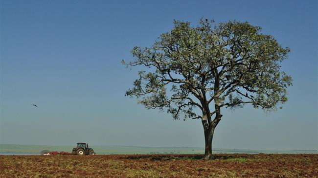 Απαλλαγή από το τέλος επιτηδεύματος για τους νέους αγρότες