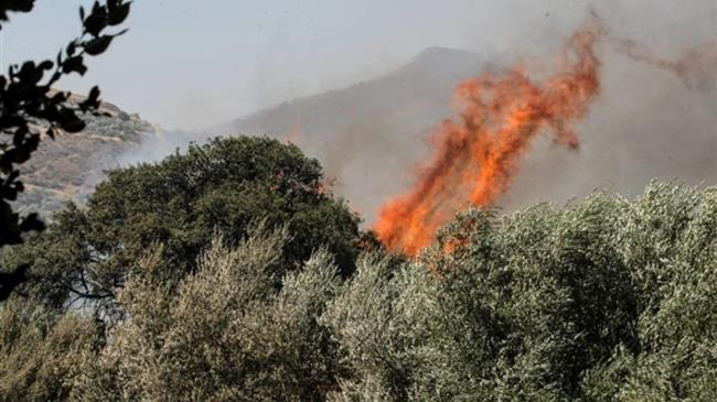 Ημερίδα για τις δασικές πυρκαγιές στο Ρέθυμνο