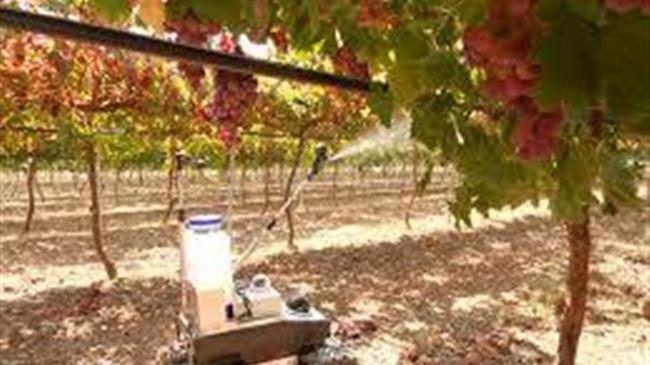 Miniature robots could cut pesticide use on farms in future