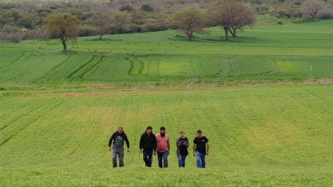 CAP fails to halt biodiversity loss in farming: EU auditors