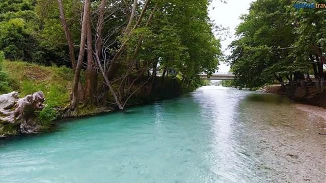 Χιλιάδες πλατάνια νεκρώνουν στις όχθες Καλαμά και Αχέροντα
