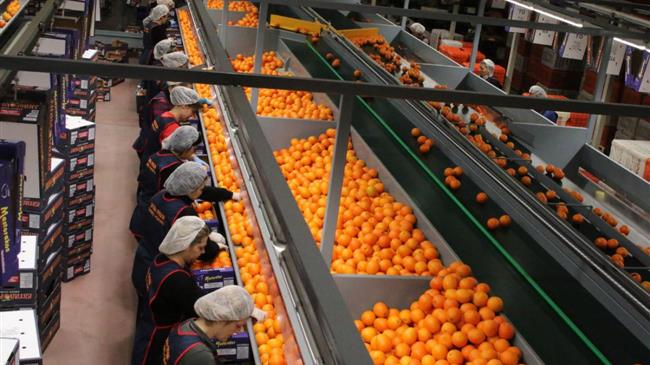 SinCE-AFC: Ένα νέο έργο της κυκλικής οικονομίας  στον τομέα της αγροδιατροφής από την ΠΚΜ