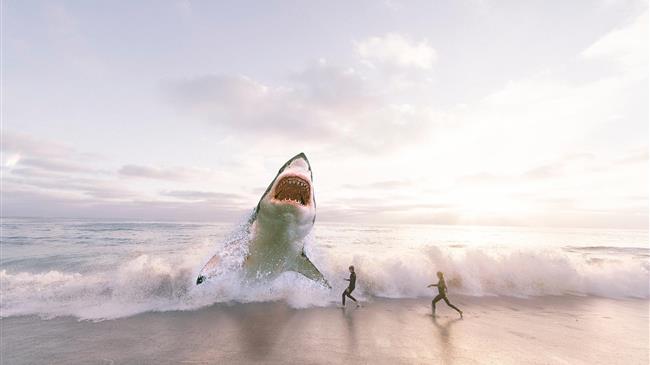 Καταβρόχθισαν τρίμετρο καρχαρία