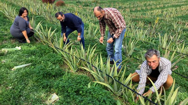 Έως τις 29 Μαρτίου 2024 οι αιτήσεις για την πληρωμή των ομάδων και οργανώσεων παραγωγών