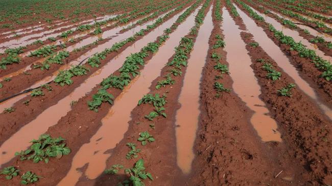 ΕΛΓΑ: Πρόγραμμα ενισχύσεων αντιστάθμισης ζημιών από θεομηνίες στο γεωργικό τομέα
