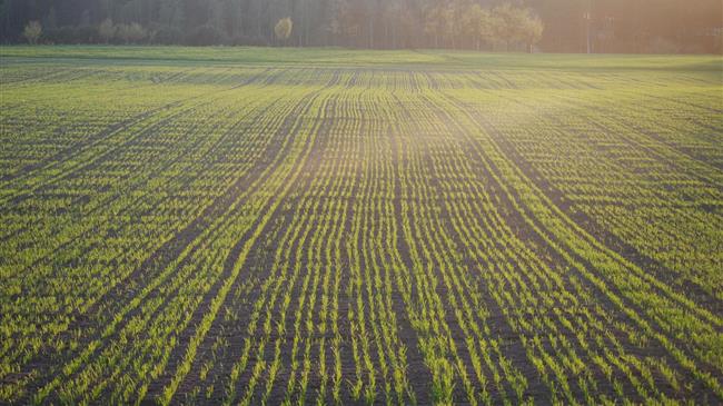 ΑΚΚΕΛ: Το νέο σύστημα ΟΣΔΕ με αριθμό ΑΤΑΚ απειλεί να «αφανίσει» την αγροτική γη και να τιμωρήσει τους πραγματικούς παραγωγούς