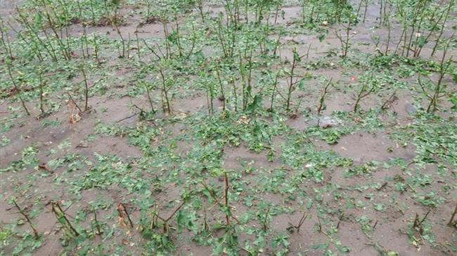 Χαλαζόπτωση στην Κομοτηνή