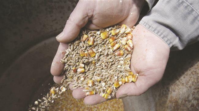 Η παραγωγή σύνθετων ζωοτροφών στην ΕΕ μειώνεται 2,2%