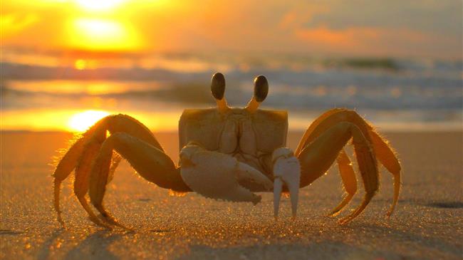 Απίστευτες εικόνες! Δείτε τι έβγαλε ψαράς 